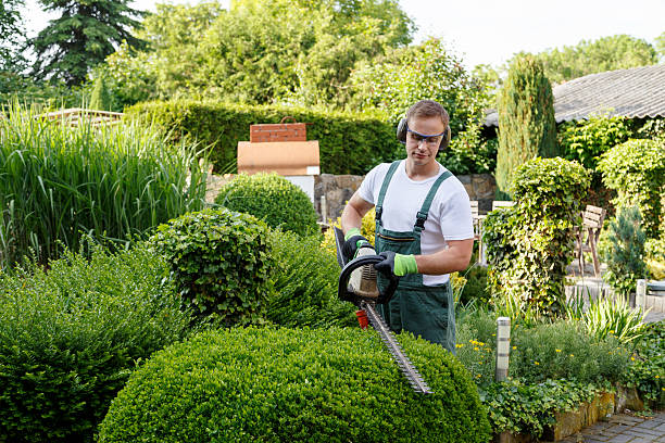 Best Tree Disease Treatment  in Cypress Gardens, FL